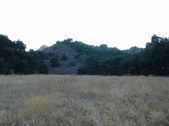 Enlarge photo 417