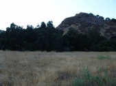 Enlarge photo 418