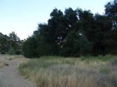 Enlarge photo 420
