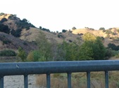 Enlarge photo 423