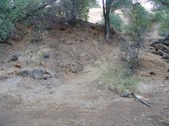 Enlarge photo 425