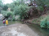 Enlarge photo 427