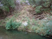 Enlarge photo 428