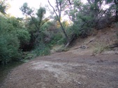 Enlarge photo 429