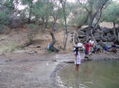 Enlarge photo 430