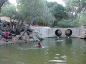 Enlarge photo 431