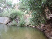 Enlarge photo 432
