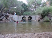 Enlarge photo 433