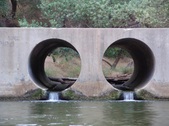 Enlarge photo 434