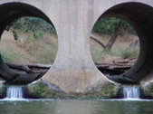 Enlarge photo 435