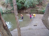 Enlarge photo 440