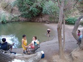 Enlarge photo 442