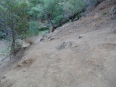 Enlarge photo 444