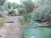 Enlarge photo 445