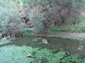 Enlarge photo 446