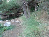 Enlarge photo 448