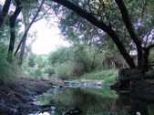 Enlarge photo 449