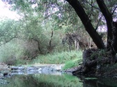 Enlarge photo 450
