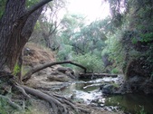 Enlarge photo 451