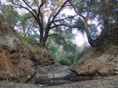 Enlarge photo 452