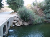 Enlarge photo 454
