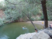 Enlarge photo 455