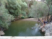 Enlarge photo 457