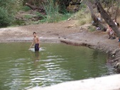 Enlarge photo 459