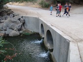 Enlarge photo 460