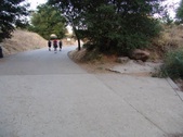 Enlarge photo 461
