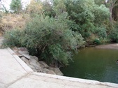 Enlarge photo 462