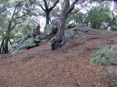 Enlarge photo 3