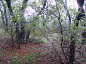 Enlarge photo 24
