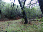 Enlarge photo 28