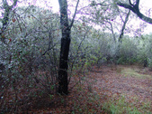 Enlarge photo 29