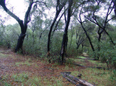 Enlarge photo 30