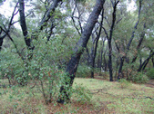 Enlarge photo 31