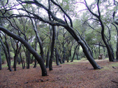 Enlarge photo 33