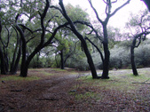 Enlarge photo 34