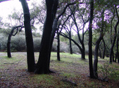 Enlarge photo 35