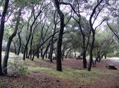 Enlarge photo 36