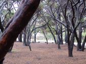Enlarge photo 37