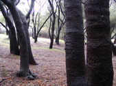 Enlarge photo 38
