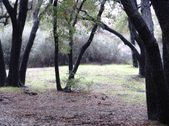 Enlarge photo 39