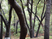Enlarge photo 40