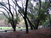 Enlarge photo 41