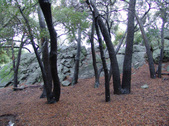 Enlarge photo 42