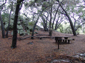 Enlarge photo 43
