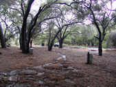 Enlarge photo 44