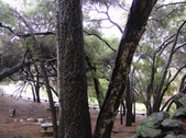 Enlarge photo 45